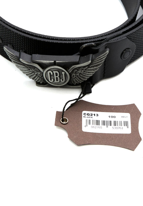 CG213