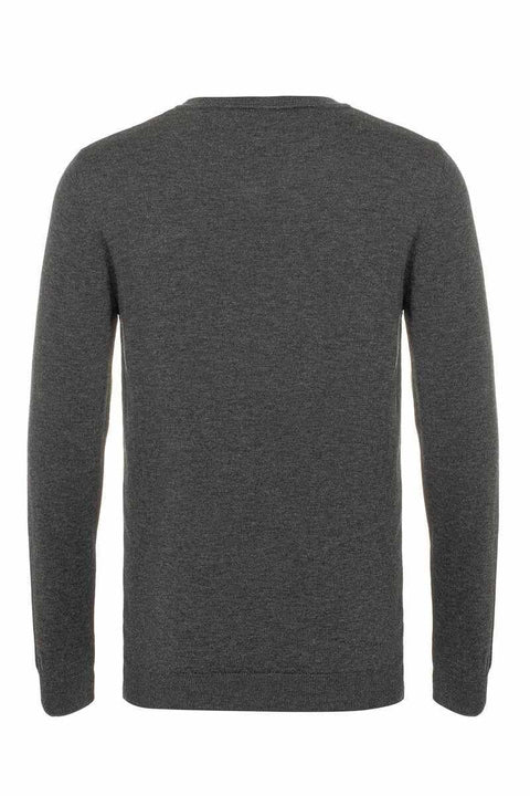 CP242 V-Neck Men's Sweater